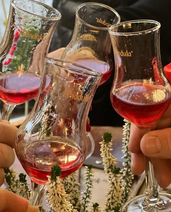 Rezydencja Bialy Jar Karpacz Bagian luar foto